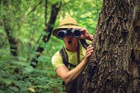 curiosités locales et mondiales