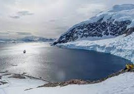 voyager en antarctique