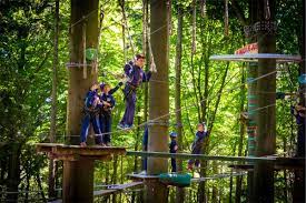 parcours dans les arbres