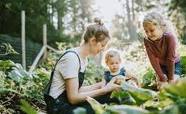 voyage nature en famille