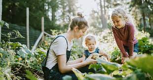 voyage nature en famille