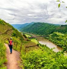 circuit solo sans supplément