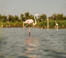 vacances octobre en famille