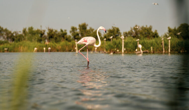 vacances octobre en famille