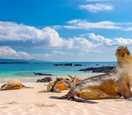 voyage en famille aout