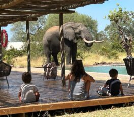 voyage en famille dans le sud