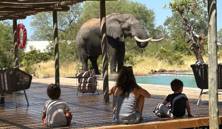 voyage en famille dans le sud