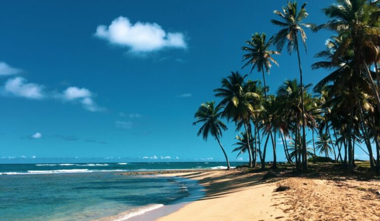 voyage en famille février 2023