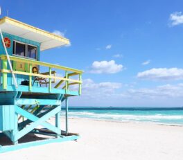 voyage en fevrier en famille