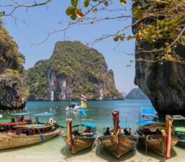 voyage en solo senior