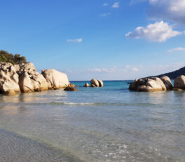 voyage en aout en famille