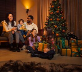 voyage famille noel