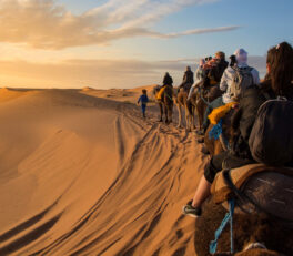voyage organisé couple