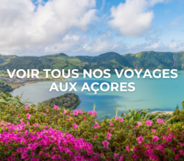 voyage pour senior solo