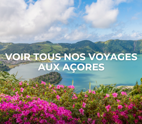 voyage pour senior solo