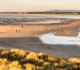 vacances en famille bord de mer
