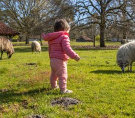 vacances en famille fevrier
