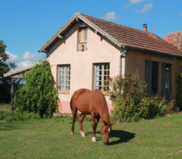 vacances familiales dans une ferme