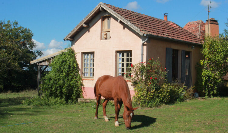 vacances familiales dans une ferme